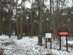 Rezerwat przyrody Zajęcze Wzgórze